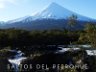 Salto del Petrohue 18 Sept 2008 171